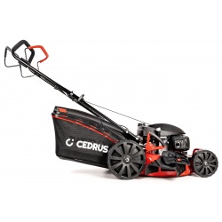Kosiarka spalinowa Cedrus KS51S-H - silnik Honda