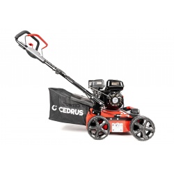 Wertykulator spalinowy Cedrus WR01 2w1