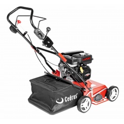 Wertykulator spalinowy Cedrus WR02R