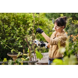 Akumulatorowy sekator Stihl ASA 20 - z akumulatorem AS 2