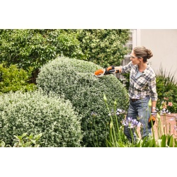 Akumulatorowe nożyce do żywopłotu Stihl HSA 26 - bez akumulatora